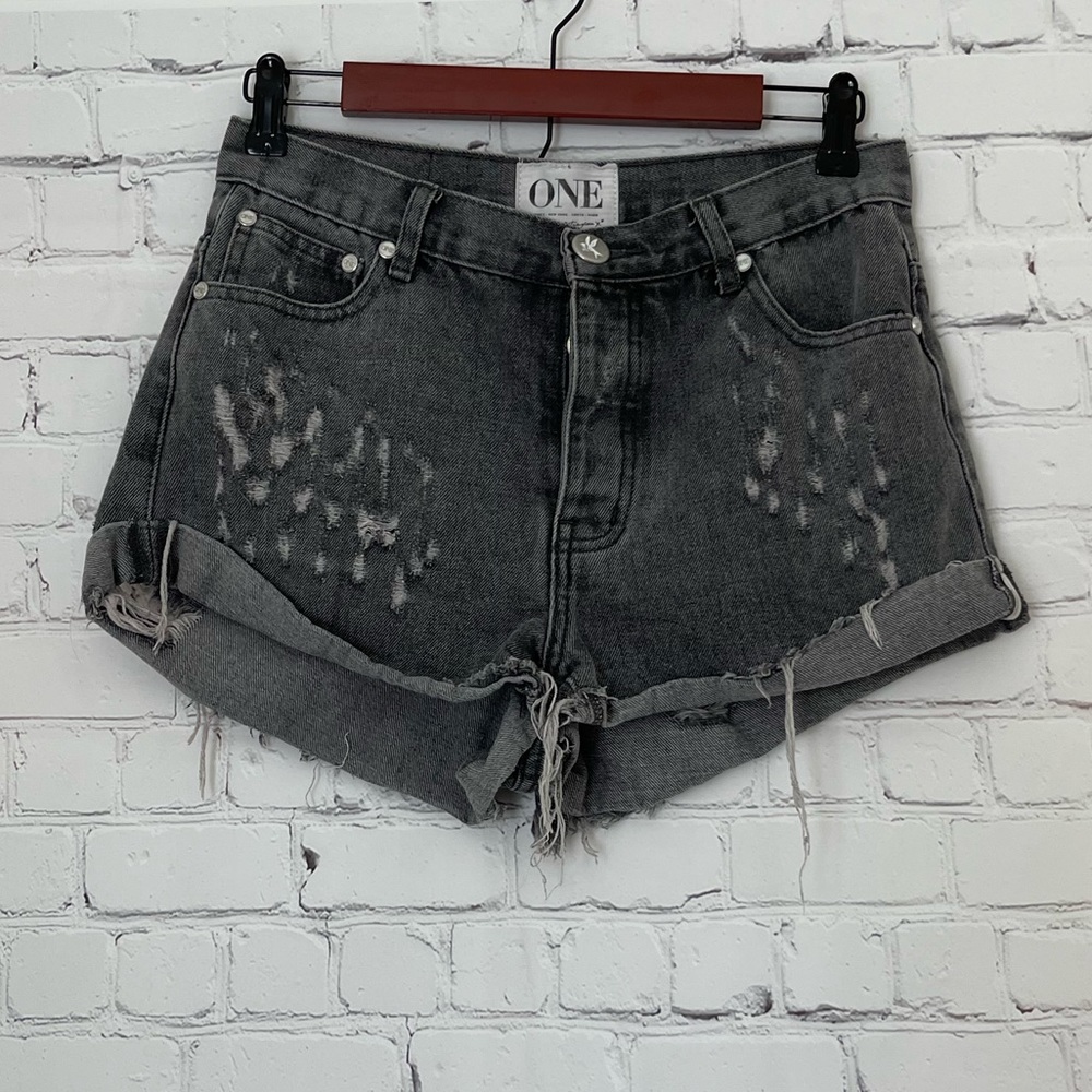 One by One Teaspoon Hawks Gray Distressed shorts size 28